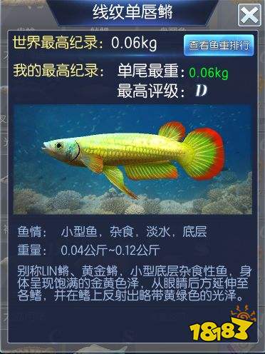 钓鱼王者第六关鱼鉴介绍 太湖鱼情通关攻略详解