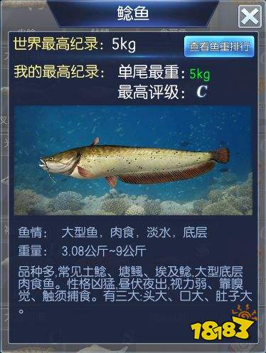 钓鱼王者第六关鱼鉴介绍 太湖鱼情通关攻略详解