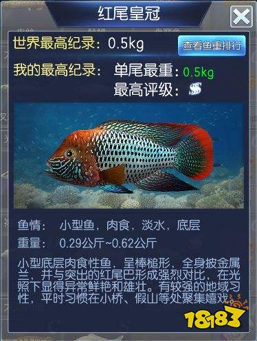 钓鱼王者第六关鱼鉴介绍 太湖鱼情通关攻略详解