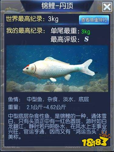 钓鱼王者第六关鱼鉴介绍 太湖鱼情通关攻略详解