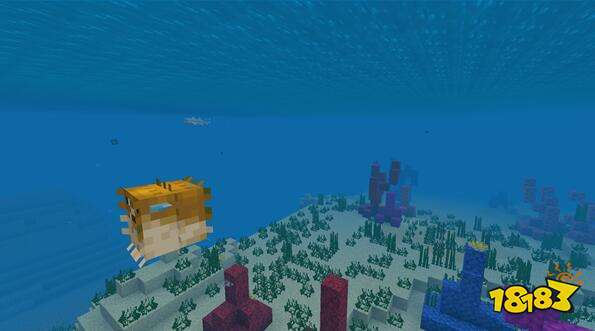 重磅来袭 我的世界海洋更新上线时间首次曝光