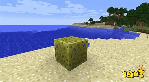 我的世界每周方块系列 能吸得下65吨水的海绵解析