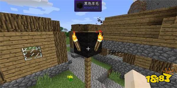 我的世界火把自然生成的地方7个地方 地点介绍