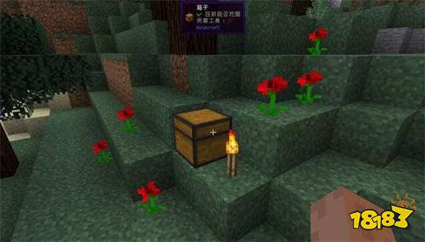 我的世界火把自然生成的地方7个地方 地点介绍