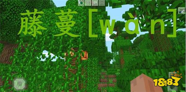 我的世界最容易读错的20个字介绍 玩家躺枪