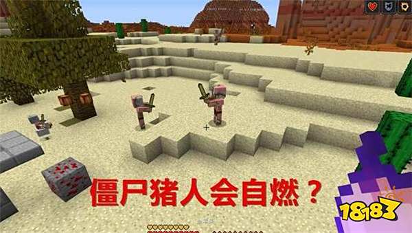 我的世界太阳的9个热知识 同时看到太阳月亮攻略