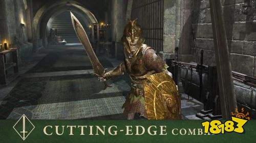 老滚6还远 但官方手游《上古卷轴:刀锋战士》已开启预注册