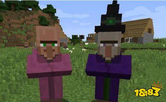 我的世界村民居然有6种形态 6种形态详细介绍