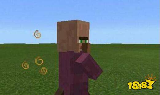 我的世界村民居然有6种形态 6种形态详细介绍