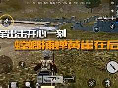 全軍出擊開心一刻 螳螂捕蟬黃雀在后