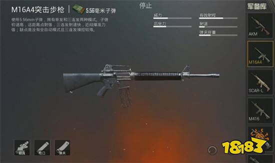 刺激战场突击步枪伤害及性能汇总 突击手必读