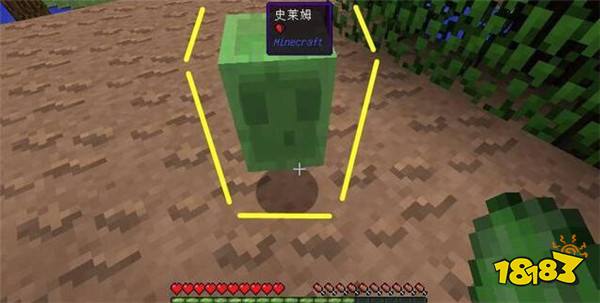 体型最小的6种怪物介绍 我的世界史蒂夫可以当宠物养