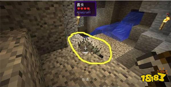 体型最小的6种怪物介绍 我的世界史蒂夫可以当宠物养