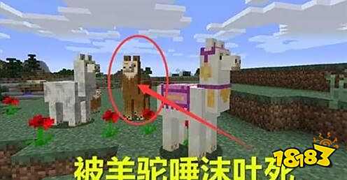 盘点最窝囊的6种死法 我的世界各种死法介绍