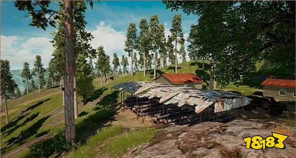 和平精英热带雨林即将来袭 新地图爆料