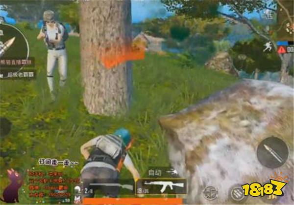 和平精英萨诺丛林介绍 4x4小地图其乐无穷