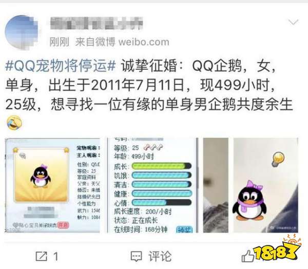 QQ宠物宣布“官方死亡”！网友炸了：和初恋的Q宠还没解除婚约呢