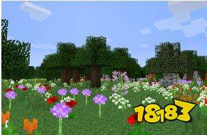 我的世界森林生存法则 森林生物群系详解