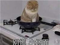 第五人格全新机制上线 史上最大改动再塑庄园