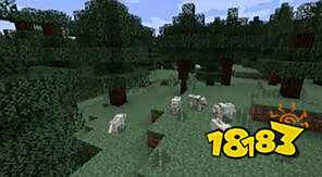 我的世界针叶林介绍 针叶林生物群系详解分析