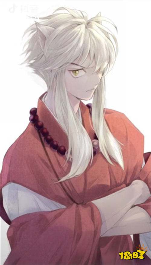 拥有一头美丽的银色长发 阴阳师犬夜叉同人绘