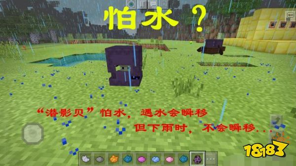 我的世界潜影贝的8个冷知识 你知道多少