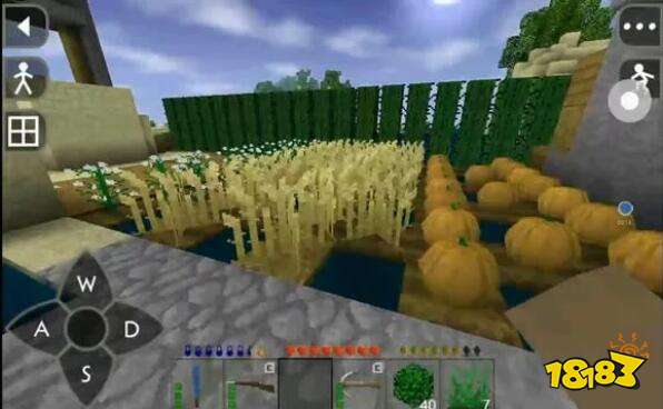 我的世界七大农田作物介绍 作物让你丰衣足食