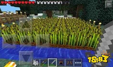 我的世界七大农田作物介绍 作物让你丰衣足食