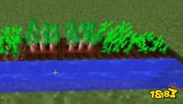 我的世界七大农田作物介绍 作物让你丰衣足食