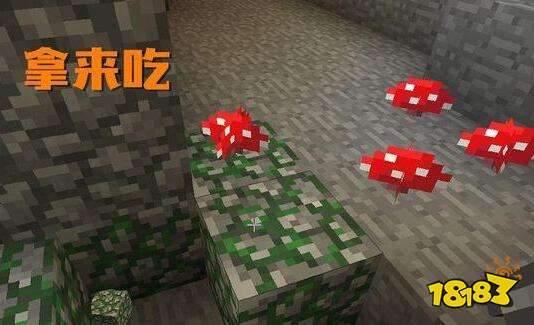 我的世界蘑菇有什么用 与萌新不同的用法介绍