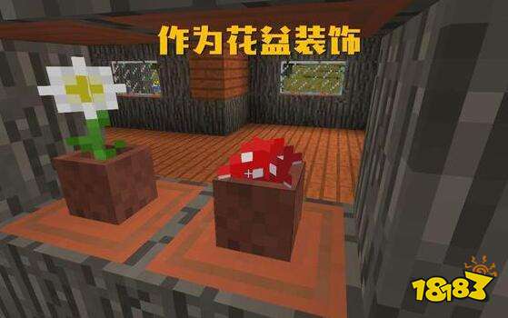 我的世界蘑菇有什么用 与萌新不同的用法介绍