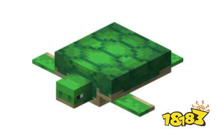 我的世界海龟介绍分享 海龟属性详解