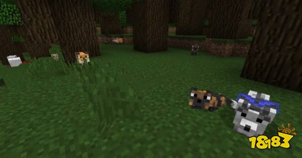 我的世界有智慧的宠物mod 下载分享