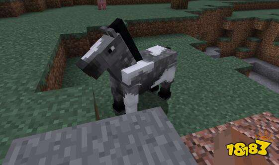 我的世界强迫症介绍 游戏中的非典型性强迫症