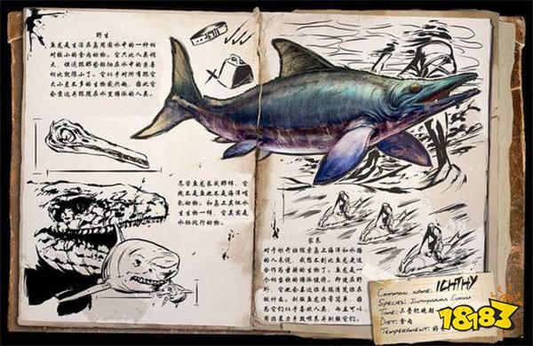 方舟生存进化海洋生物大全手机版驯服方法及分布 181 专区