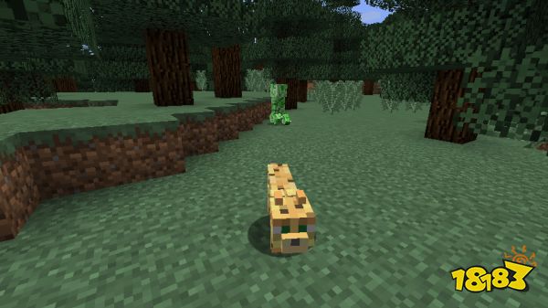 1013322U2-8.png@!18183