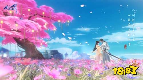 碧空俯瞰这江湖世界胜景 花与剑飞空木鸢初曝光