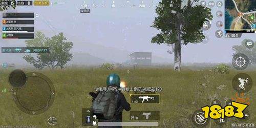 绝地求生和平精英和平精英电脑版辅助 突击手的基本战术指南