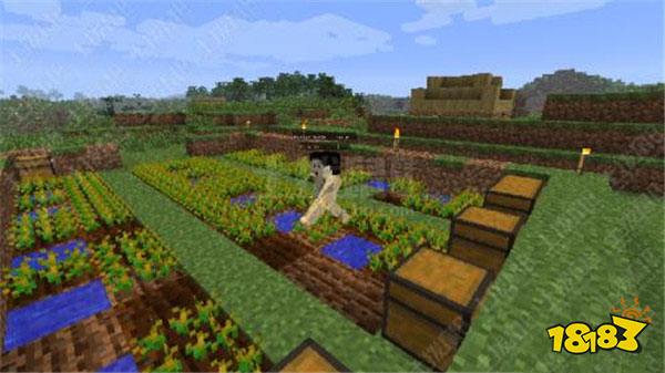 那些撞见靠运气的村庄 第二位形成概率2%