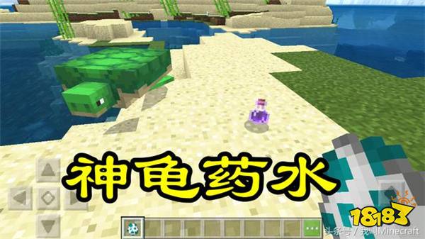 关于药水的10个冷知识女巫为什么笑 强迫症不服