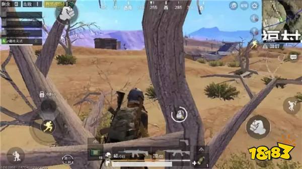 和平精英幸福村妖树和平精英外挂 专门捕食路过的玩家