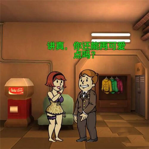 辐射避难所Online生孩子攻略 生孩子注意要点介绍