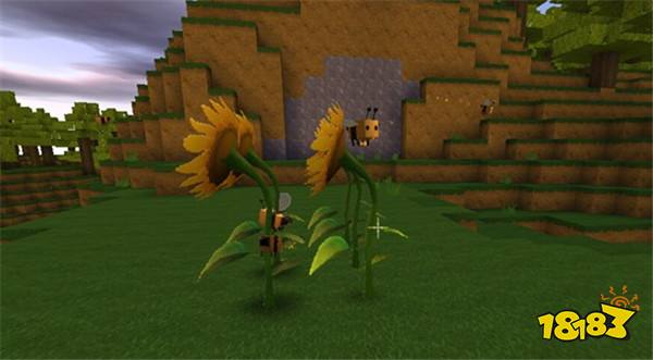 迷你世界蜜蜂怎么驯服