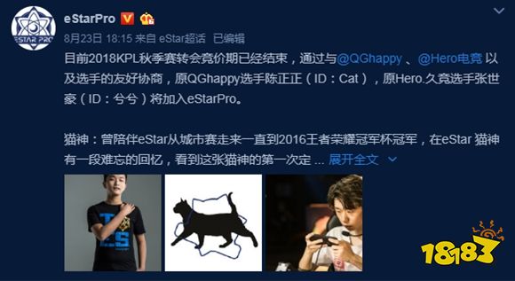 王者荣耀猫神回归eStar