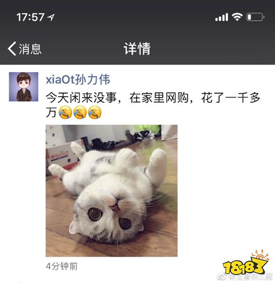 王者荣耀猫神回归eStar