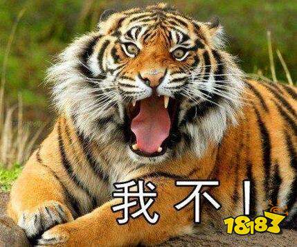 坚决不承认自己是非洲人 都是时辰的错