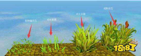 迷你世界新手教学 如何解决温饱问题