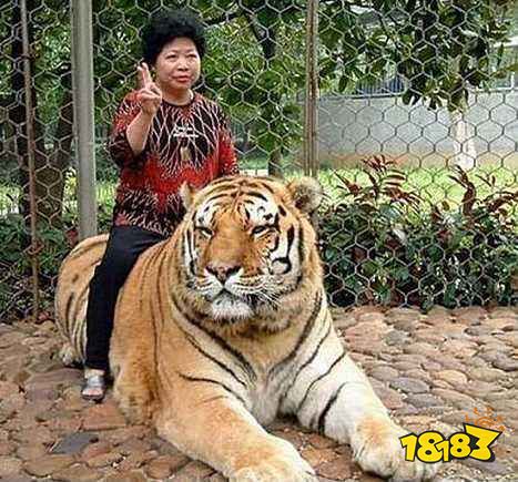 良心游戏有木有：特色专服超多福利 一天不上亏几亿