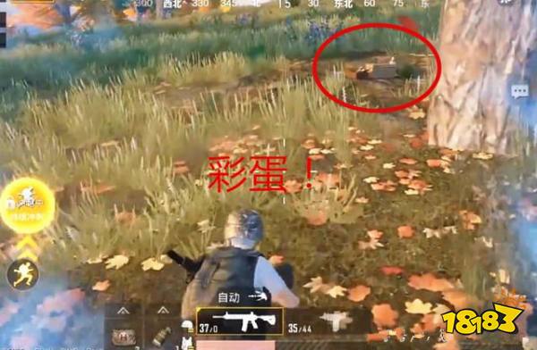 绝地求生辅助卡盟和平精英隐藏小彩蛋 站在上面就能加血