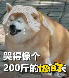 第五人格表情包 哭得像个200斤的狗子